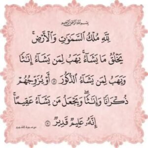 لِلَّهِ مُلْكُ السَّمَاوَاتِ وَالْأَرْضِ يَخْلُقُ مَا يَشَاءُ يَهَبُ لِمَنْ يَشَاءُ إِنَاثًا وَيَهَبُ لِمَنْ يَشَاءُ الذُّكُورَ (49) أَوْ يُزَوِّجُهُمْ ذُكْرَانًا وَإِنَاثًا وَيَجْعَلُ مَنْ يَشَاءُ عَقِيمًا إِنَّهُ عَلِيمٌ قَدِيرٌ (50) 